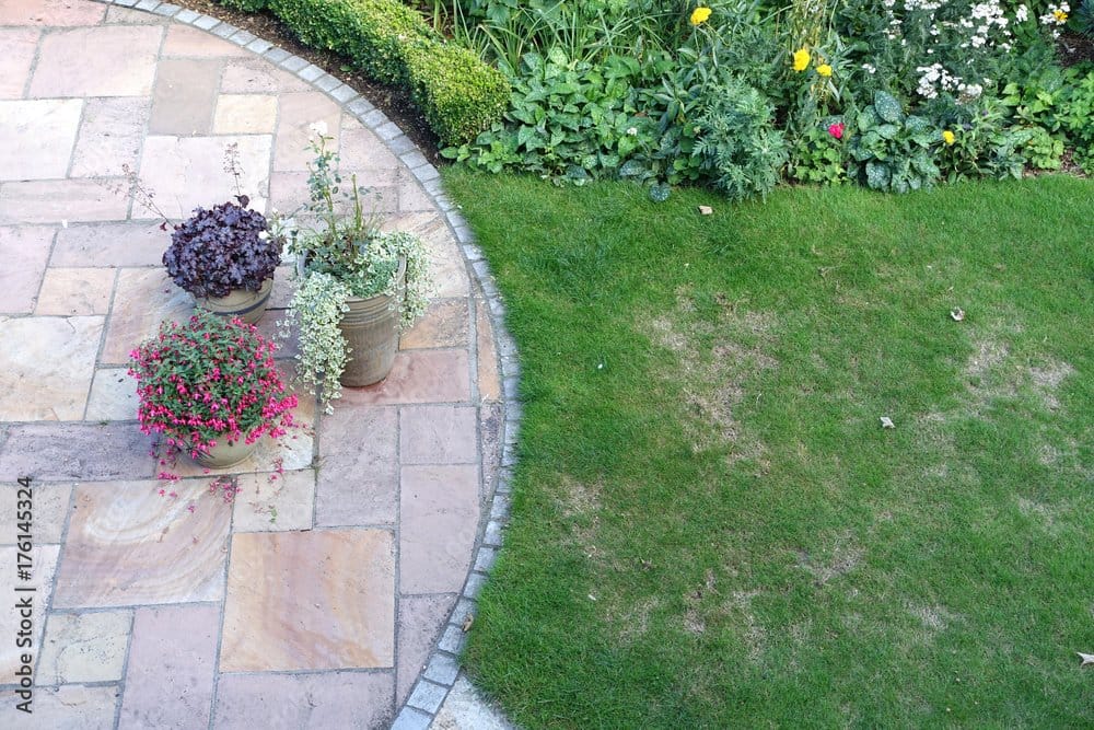 5 Interesting Reasons Your Lawn Might Be Thinning